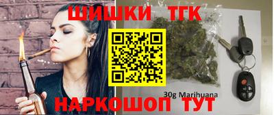 МДПВ Бийск
