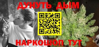 МДПВ Бийск