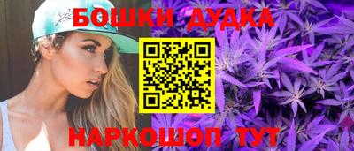 МДПВ Бийск