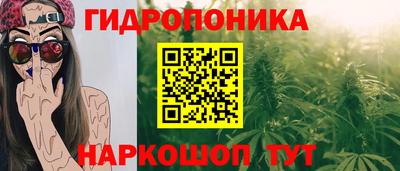 МДПВ Бийск