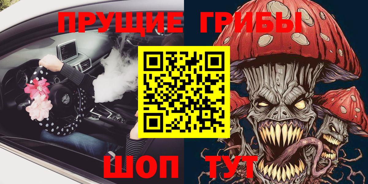 Псилоцибиновые грибы Psilocybine cubensis Губаха